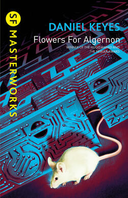 algernon algernon